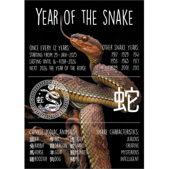 12901 Year of the Snake (2025) - Engelstalig