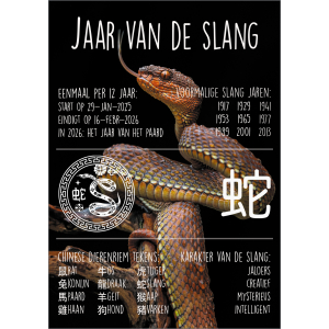 12903 Jaar van de Slang (2025) - Nederlandstalig