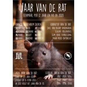 12081 Jaar van de rat 2020 NL