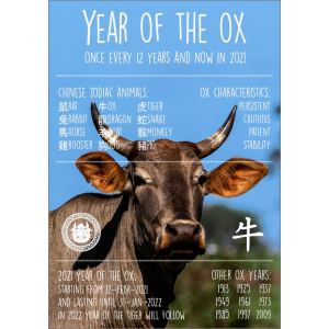 12355 Year of the Ox 2021 ENGELSTALIG