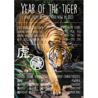 12439 Year of the Tiger 2022 ENGELSTALIG