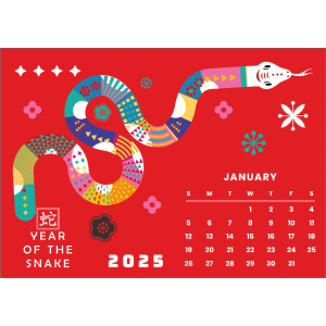 12908 Year of the Snake - January