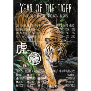 12439 Year of the Tiger 2022 ENGELSTALIG